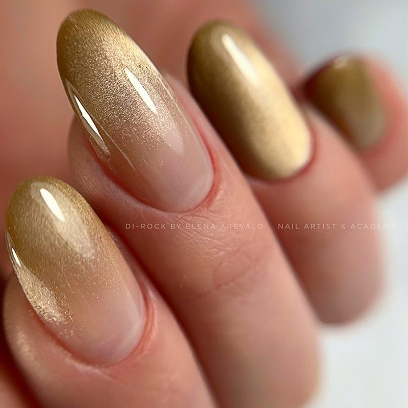 Dual Sandwich Tendencias de Salón DSTS DiRock Academy